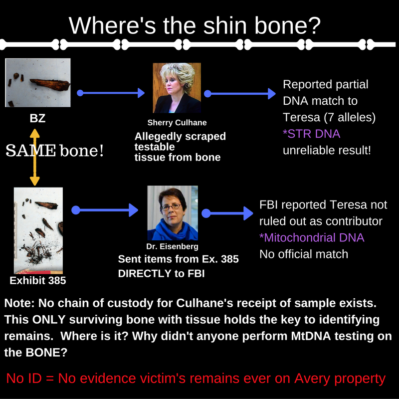 shin-bone3